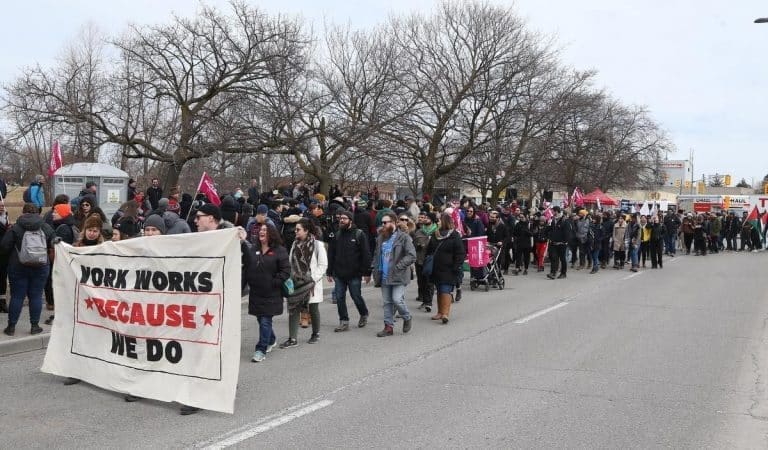 Organizing Precarious Academic Labour
